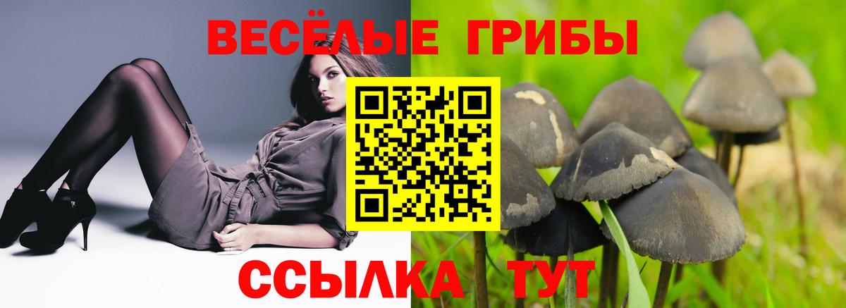 Звенигород  Псилоцибиновые грибы Magic Shrooms  Вход с VPN 